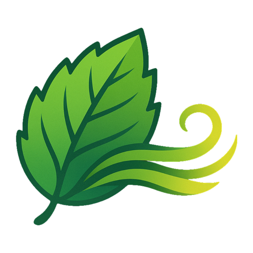 MintFlow Cloud Drive logo